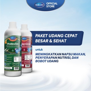 Bluecore Paket Amino Grow + Probiozim Suplemen 