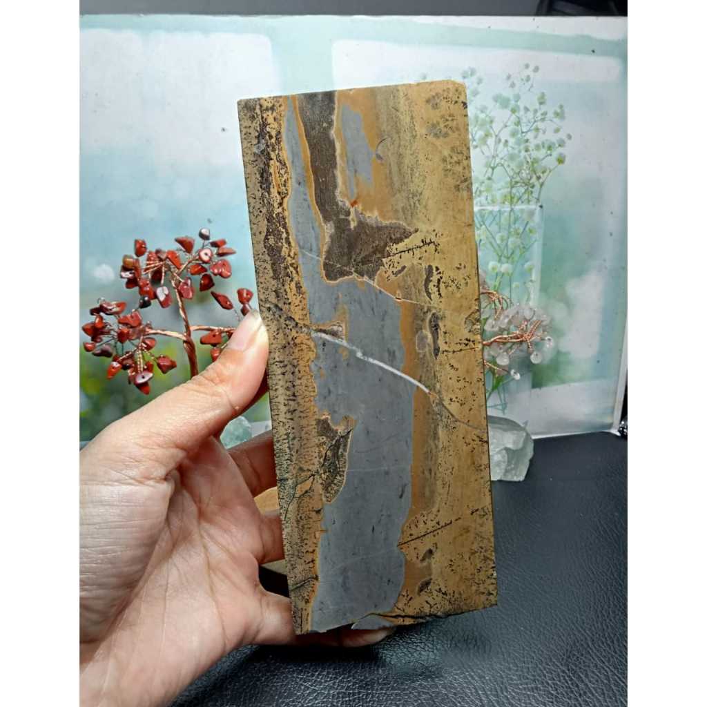 Natural Picture Jasper Slice Stone (2)