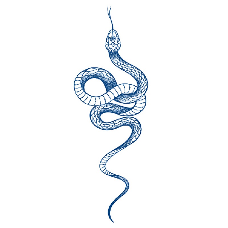 FRUIT INK MINI Finger Tattoo Lasts 1 เดือนขนาด 7x12 ซม.ชั่วคราว Tattoo สติกเกอร์ฮาลาล Snake Tattoo G