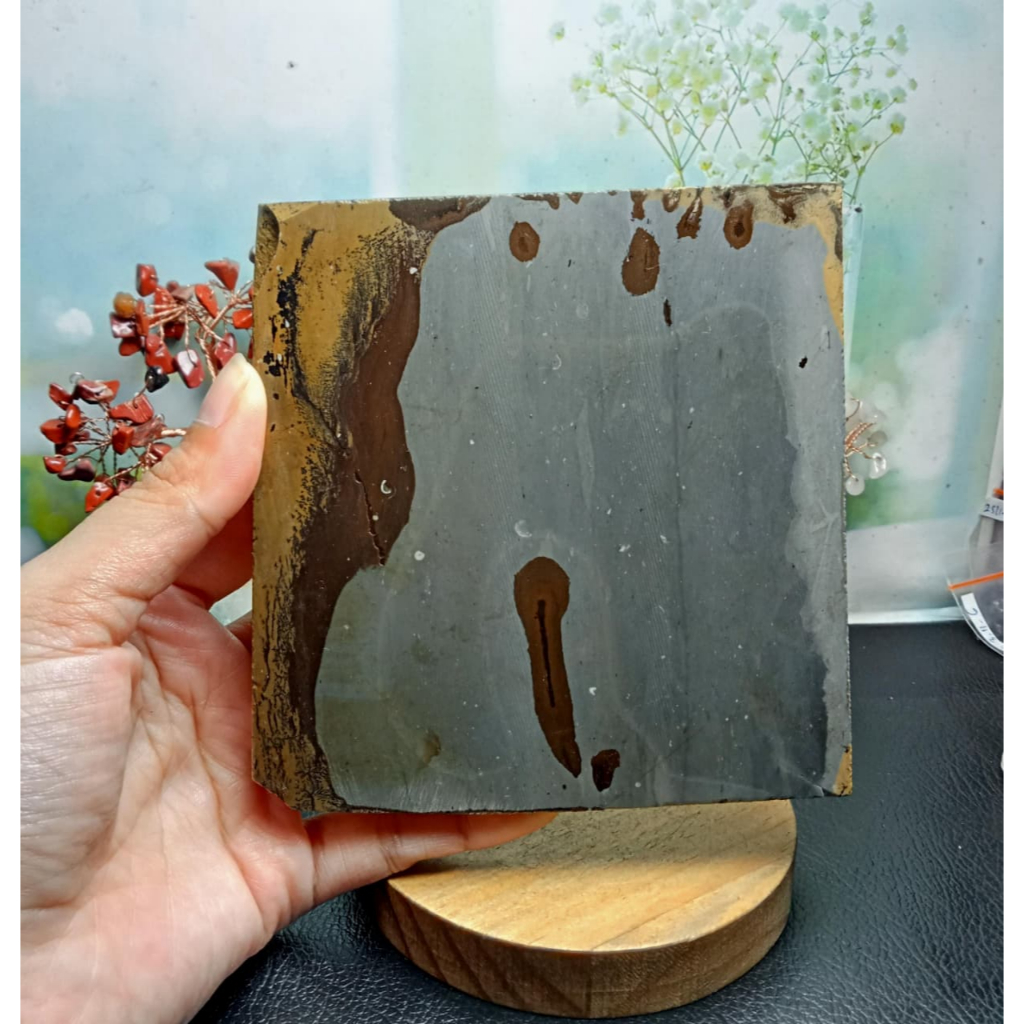 Natural Picture Jasper Slice Stone (5)