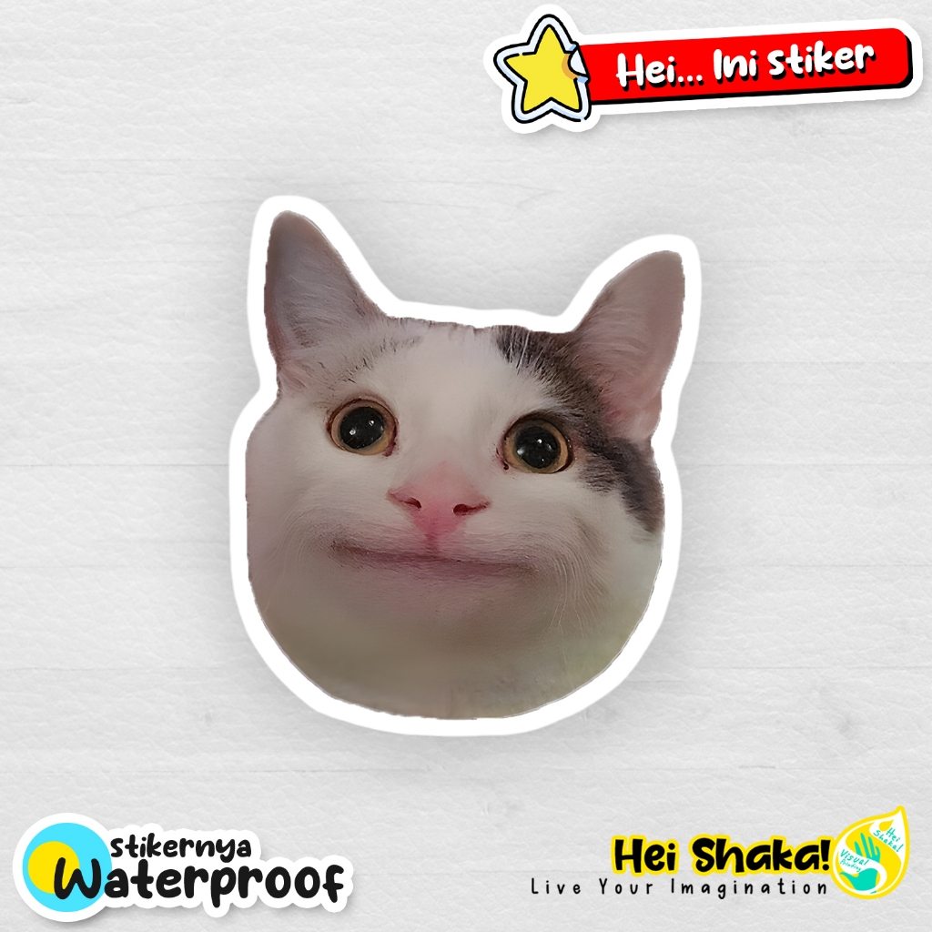 WTF สติ๊กเกอร์แมวน่ารักสติ๊กเกอร์ไวนิลกันน้ํา Meme