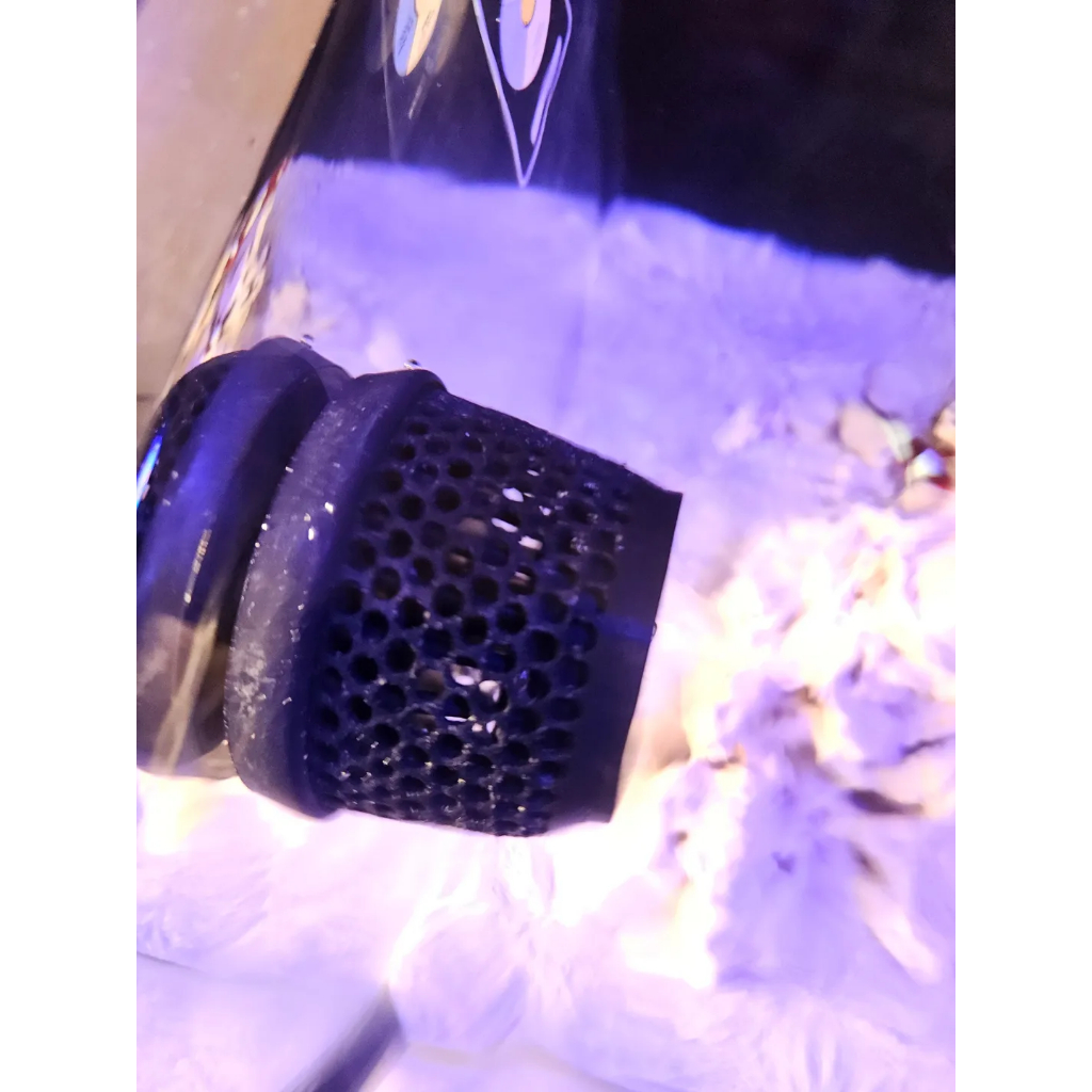 ดอกไม้ทะเล Guard Wavemaker Jebao Jecod DMP-10 Wavemaker Protector จากดอกไม้ทะเลและปลา JEBAO JECOD DM