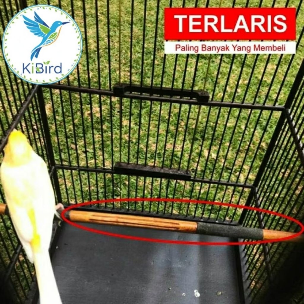 SEPATI TEAK WOOD BIRD TANKS