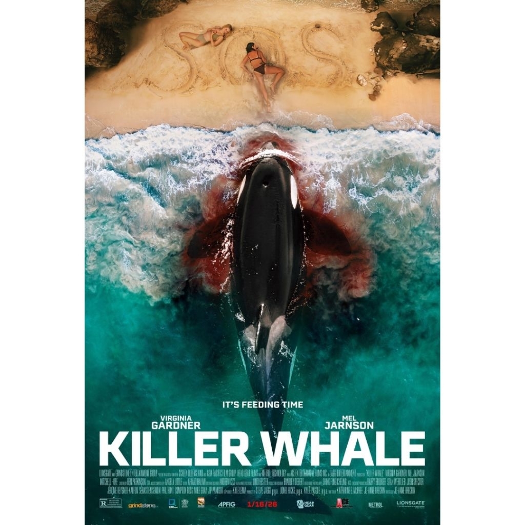 ดีวีดี KILLER WHALE 2026