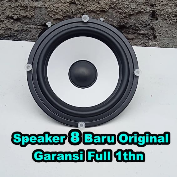 ลําโพง Polytron Pas 8 FF28 ใหม่ของแท้ รับประกัน 1 ปีเต็ม