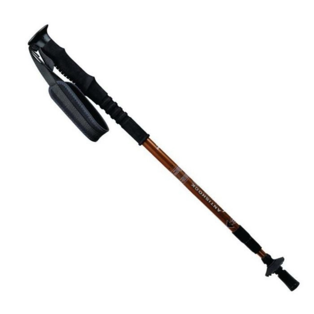 Eiger1989 3 ส่วน A Pole Trekking Pole