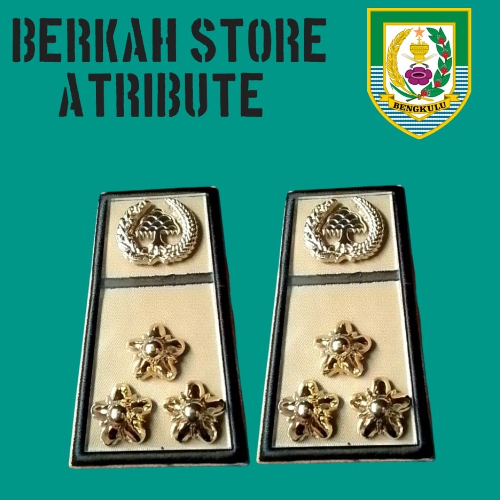 PDH ASN BENGKULU RANK GROUP 4C BLACK LIST - พิเศษ