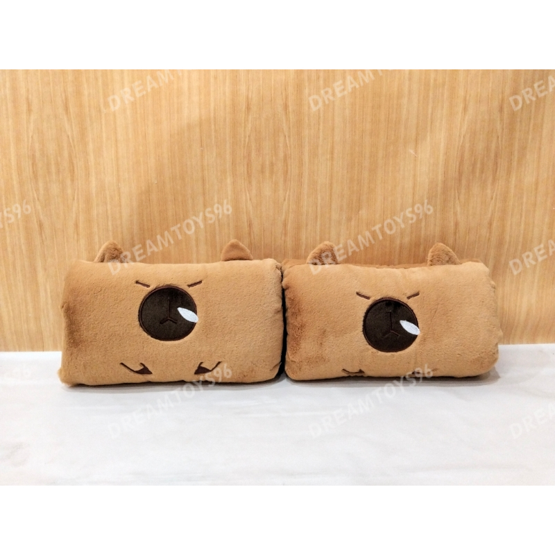 DREAMTOYS96 หมอนอุ่นมือพร้อมวาจาร์สีขาว Snot Capybara