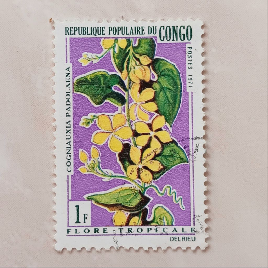 (OG) Republic Kongo 1971 Flowers 1971 - Cogniauxia padolaena 1 fnc Used