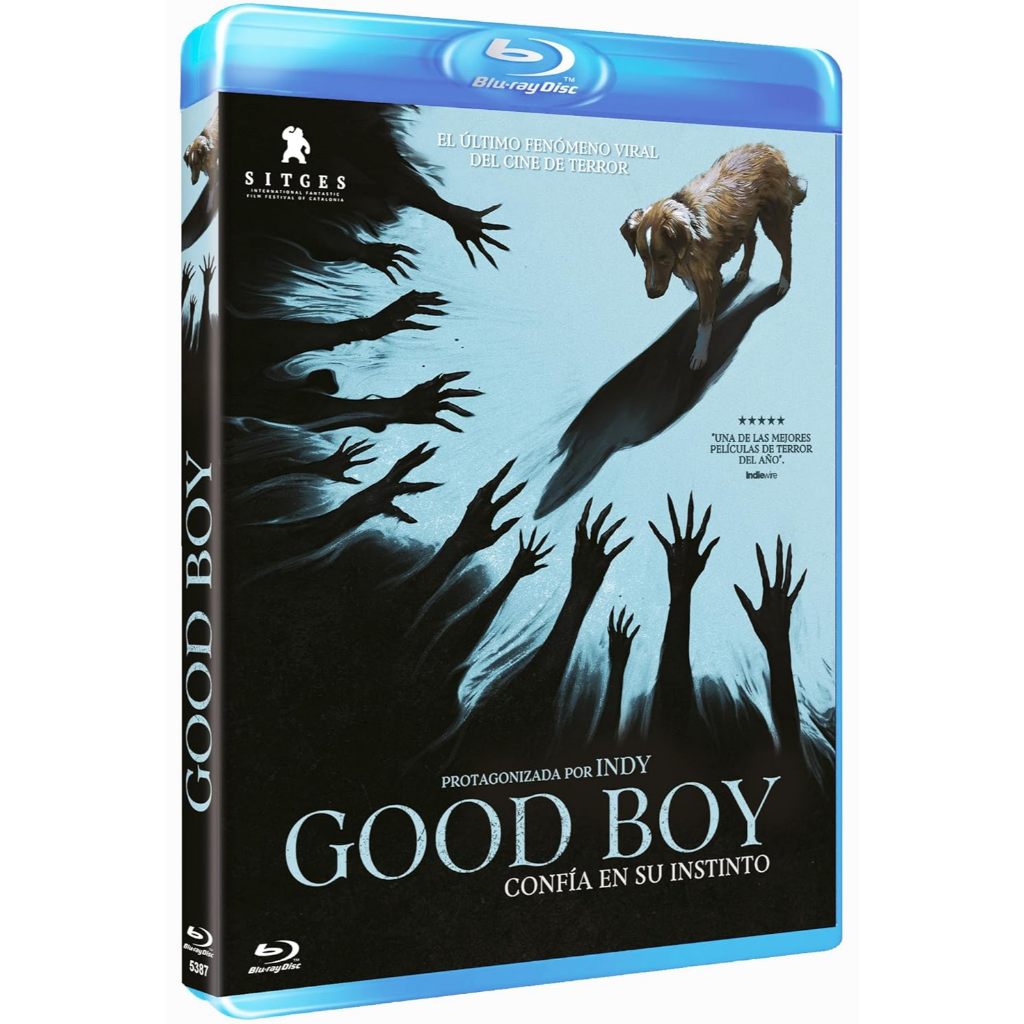 LOKAL Good boy 2025 แผ่นบลูเรย์ True HD BD Local