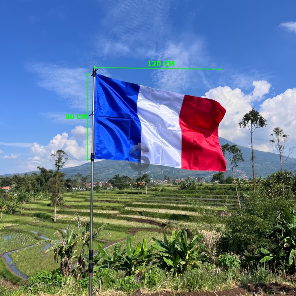 FRANCIS FLAG 120 CM x 80 CM
