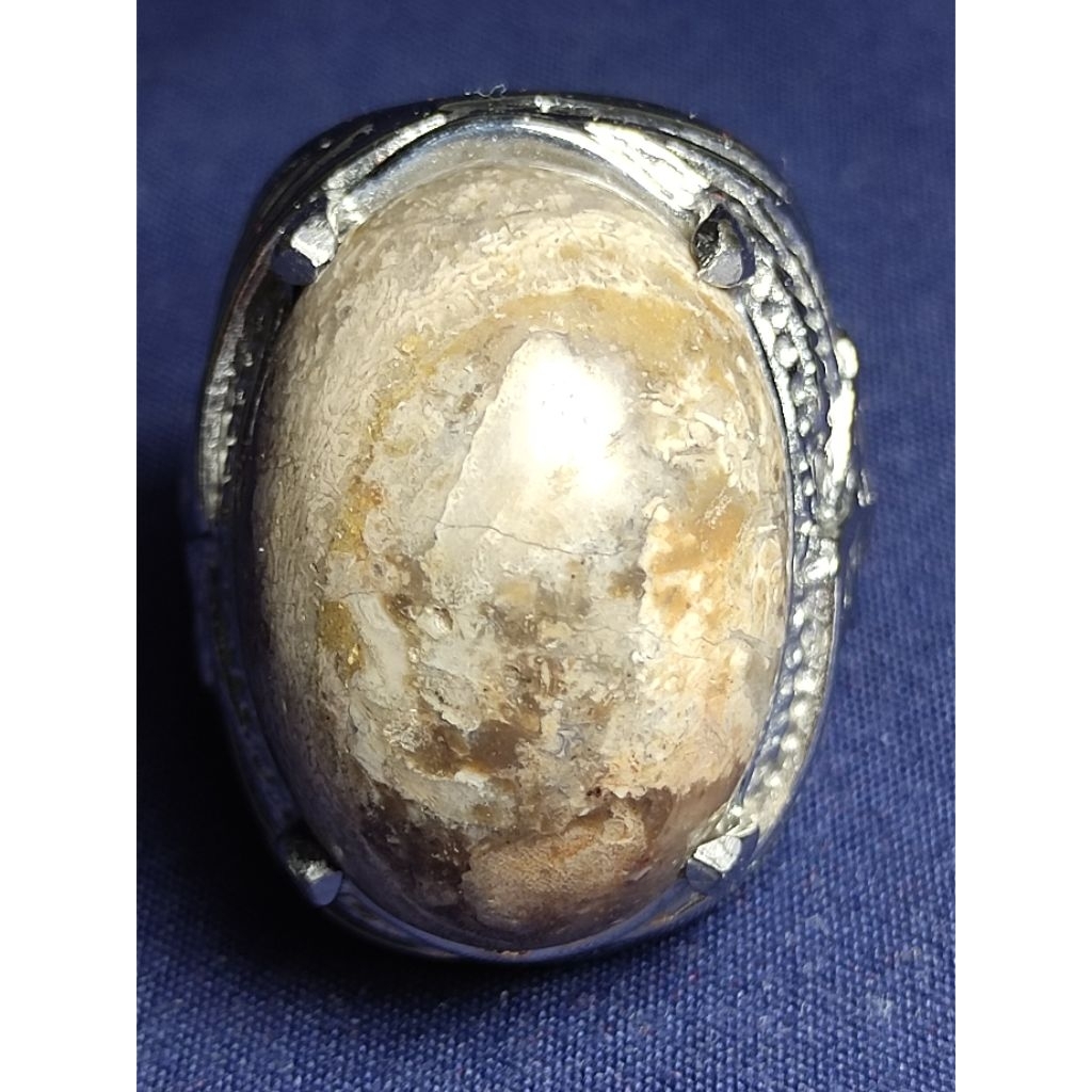 ไม้เคลือบธรรมชาติ, HAJI / หินฟอสซิลไม้มะรุม, PAK HAJI