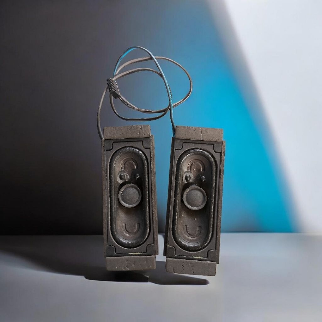 LG 24 นิ้ว LED TV Speaker 24 LB450/24LN4100/29MT NORMAL