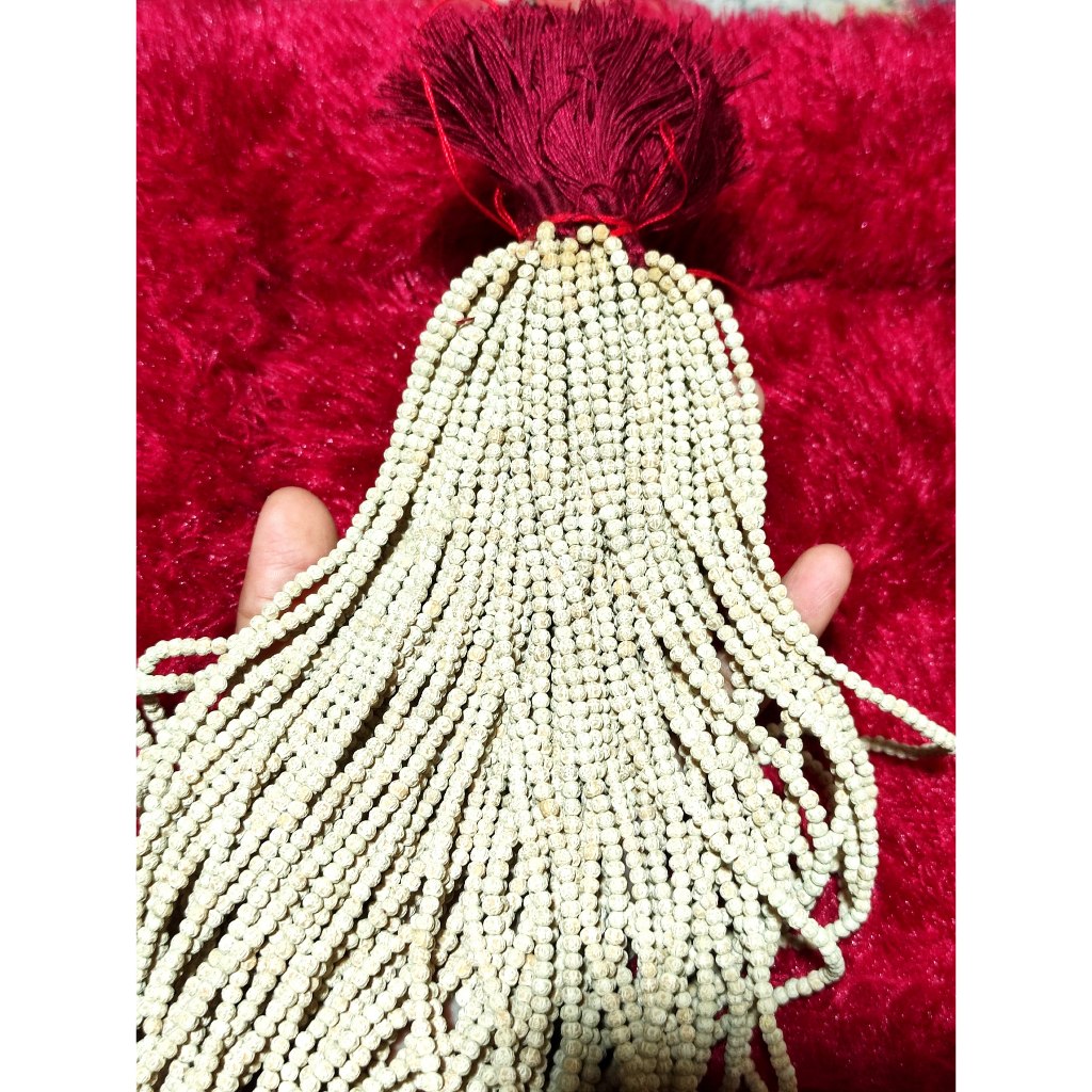 Rudraksha Jenitri Tulsi เนื้อหา -+110 & -2+130 Grains Size ±2Mm ขนาดเล็ก Berkah_Alway - รูปที่ 3