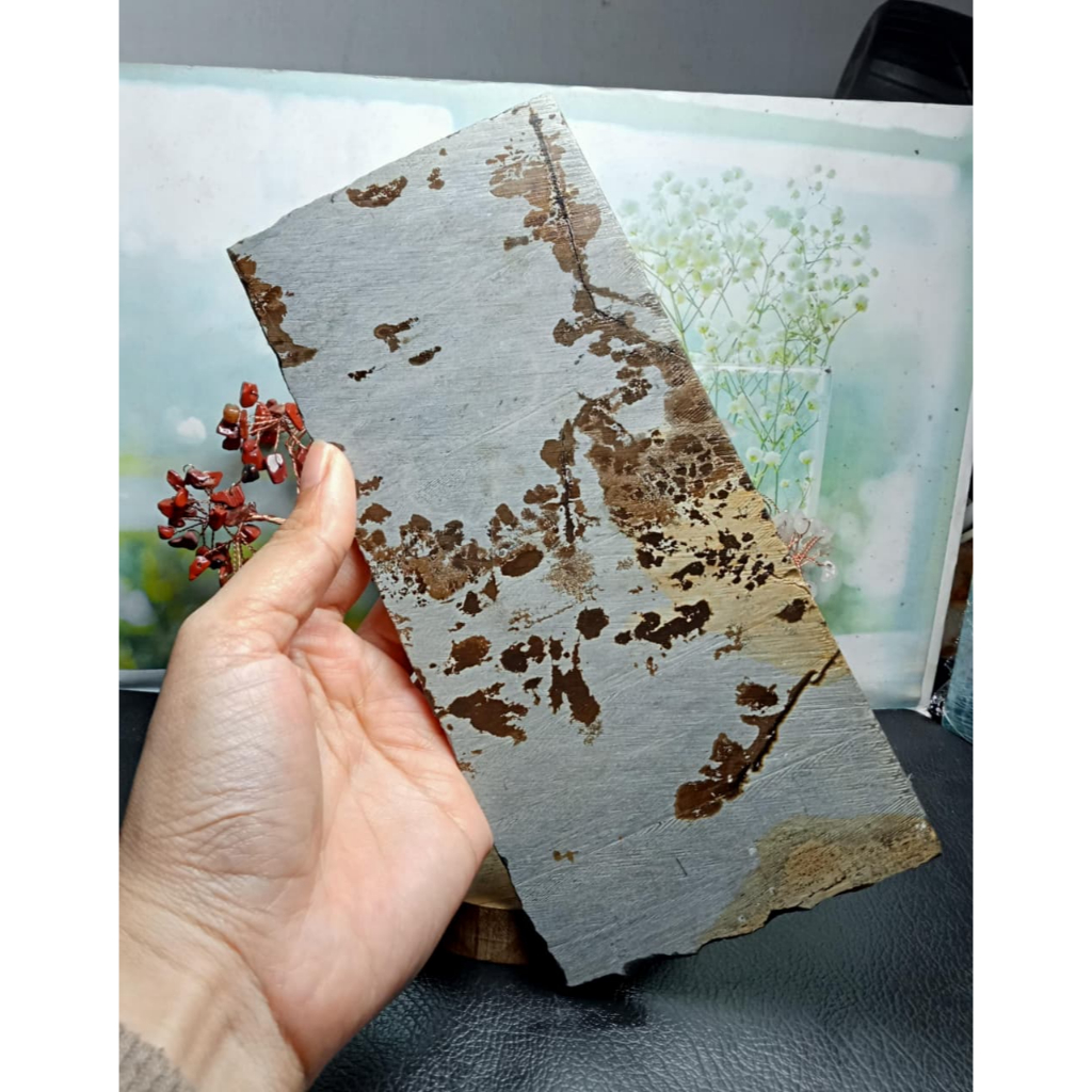 Natural Picture Jasper Slice Stone (1)