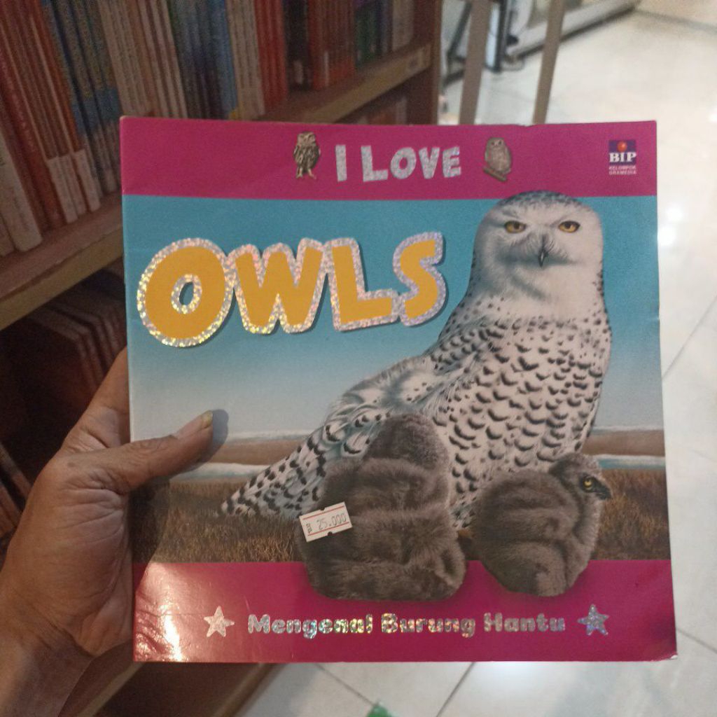 I Love OWLS - รับรู้จัก OWLS - หนังสือสําหรับเด็กแบบ Dialectic