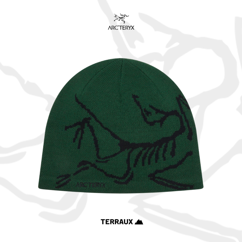 Beanie Arcteryx Authentic Head Bird Head Toque Arcteryx Original - สีเขียว (Eden/Black)