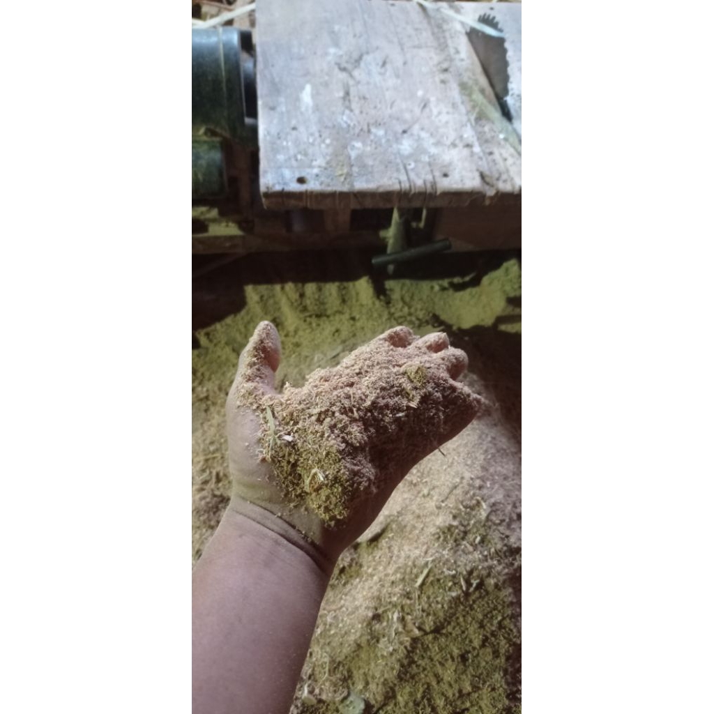 SAW POWDER - WOOD WASTE POWDER - TEAK WOOD POWDER - MAHOGONY WOOD POWDER - WOOD WASTE - TEAK WOOD FI