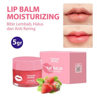 Lip Balm Lip Care Premium 5gr Pelembab Bibir dengan SPF Solusi Bibir Kering Mencegah Bibir Hitam