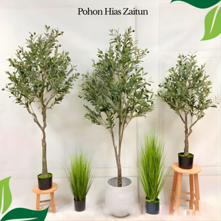 Tanaman Hias Zaitun Latex Plants Olive Premium Artificial Pohon Plastik Artificial Aestetic / CZ-7