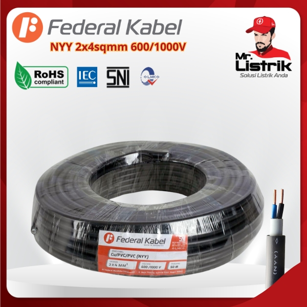 สาย Federal NYY 2x4mm2 1 เมตร