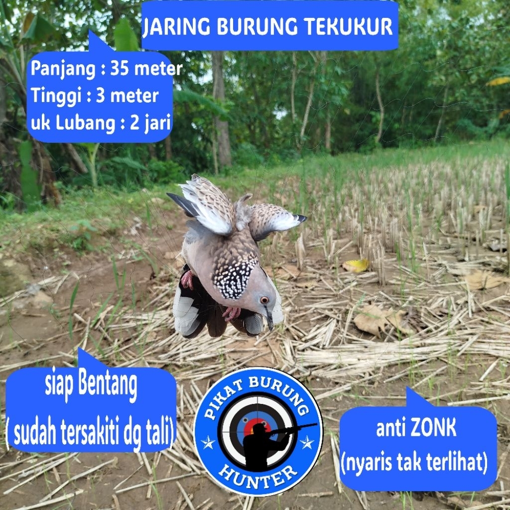 3 BENDING BIRD NET KUTUT BIRD NET LARGE BIRD NET 2 IN BIRD NET DOVE NET BIRD NET DOVE NET DOVE NET D