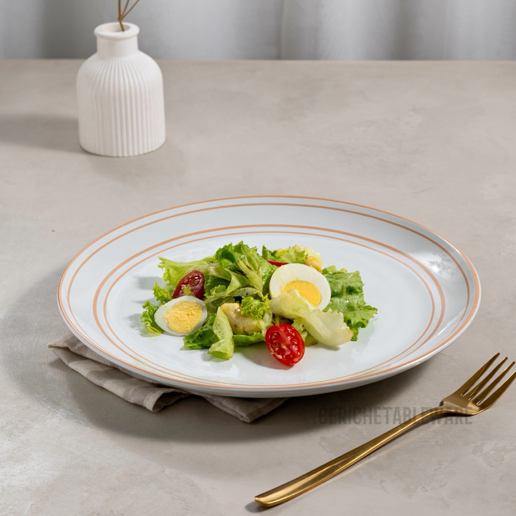 Cerache Soma Plate Ceramic 27cm - Simple line Cafe Plate Aesthetic Ceramic Dinner Plate