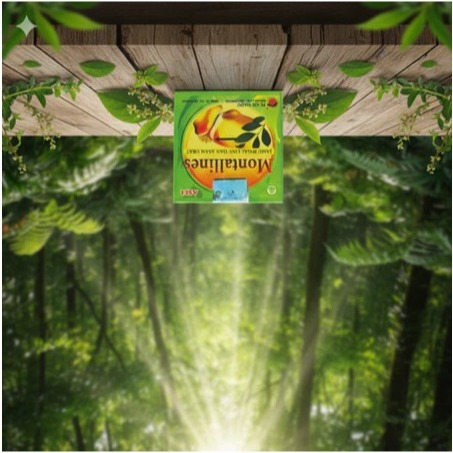 น๊อต-kps-cap-MOUNTALLINN-i.429037467.44474216493?ExtraParams=%7B"display_model_id"%3A186312580472%2C