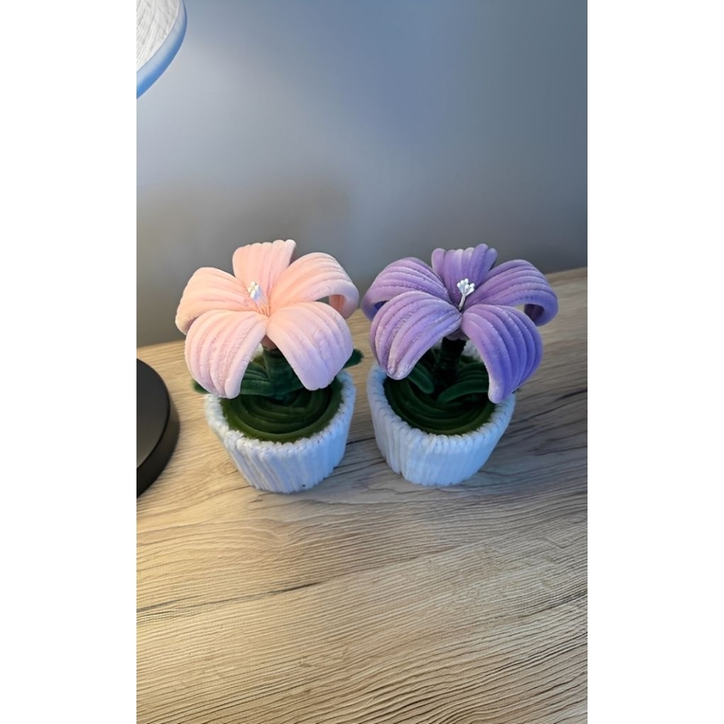 MINI GIFT VALENTINE/MINI POT WIRE FEATHER VALENTINE/MINI POT FLOWERS WIRE FEATHER