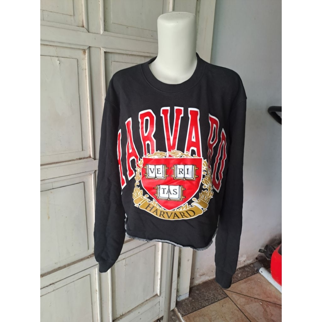 Link co live รหัส 51-100