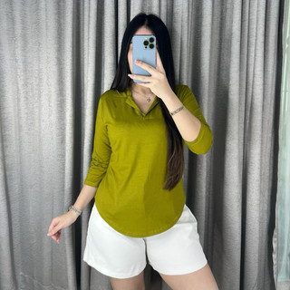 Olive Bordir Atasan Kerah V Lengan Panjang