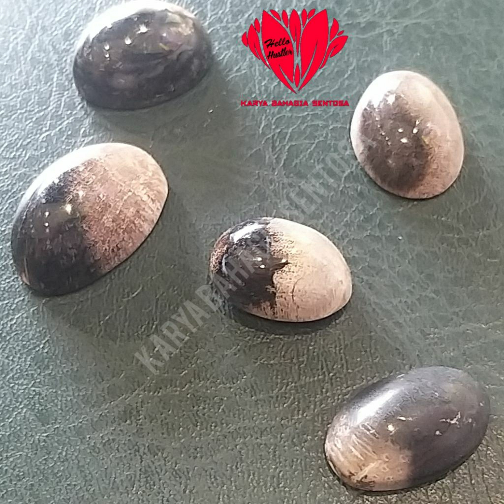 Great Protector Natural Natural Petrified Wood Signature Collection