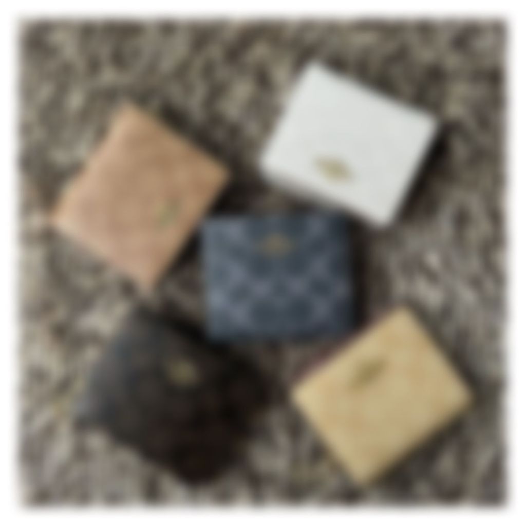 Snap Chain Wallet C3309 C8704 C8703 C2867 C2862 CC922 CC472 C6092 C7353 CR795 C6941 CC921 C8734 CC92