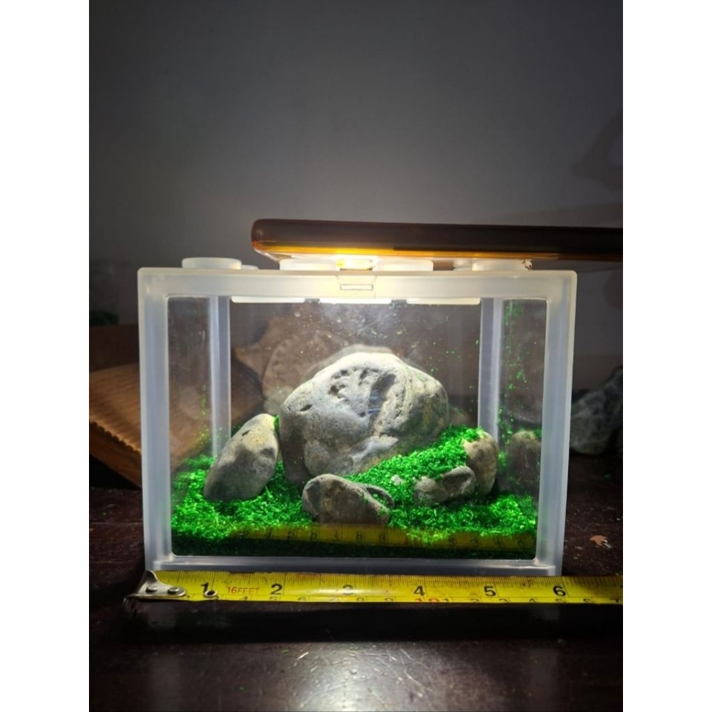 เครื่องประดับหิน Hakkai ชั่งน้ําหนัก 1 กก. สําหรับวัดตกแต่งตู้ปลาขนาดเล็ก 25-30 ซม