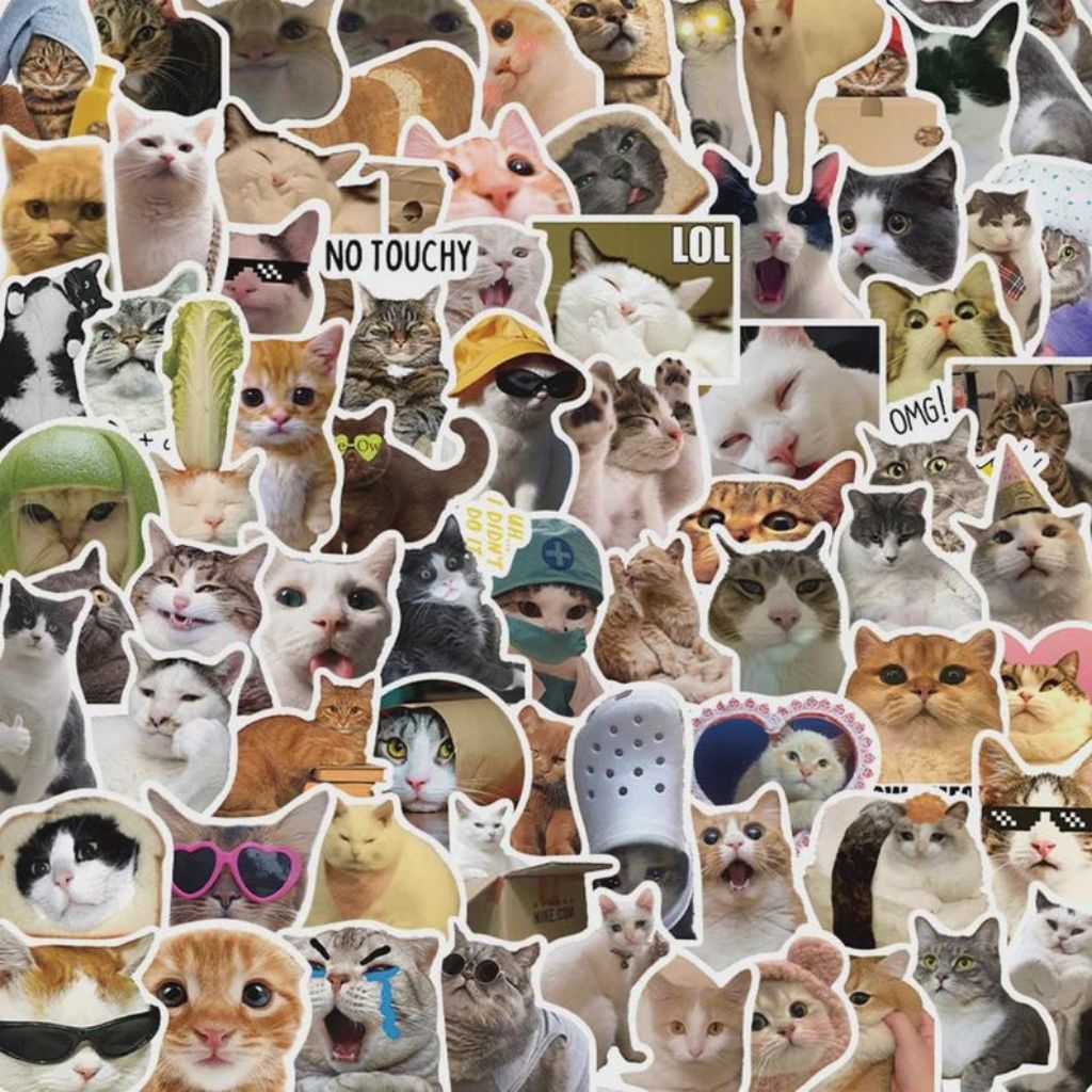 สติ๊กเกอร์แมวตลก Meme สติ๊กเกอร์แมวตลก 20 ชิ้น kawaii Aesthetic Cat Meme สติ๊กเกอร์