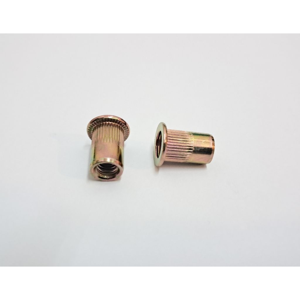 น็อตหมุดย้ํา M6 น็อตเหล็กสีเหลือง น็อตหมุดย้ํา น็อตสลักเกลียว 6 มม. 10