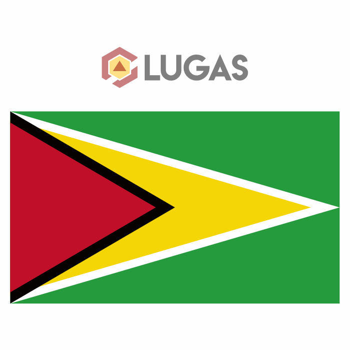 Guyana Country Flag TC MIRROR Print สีโปร่งแสง