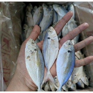 1KG Ikan Asin Selar COD TERMURAH