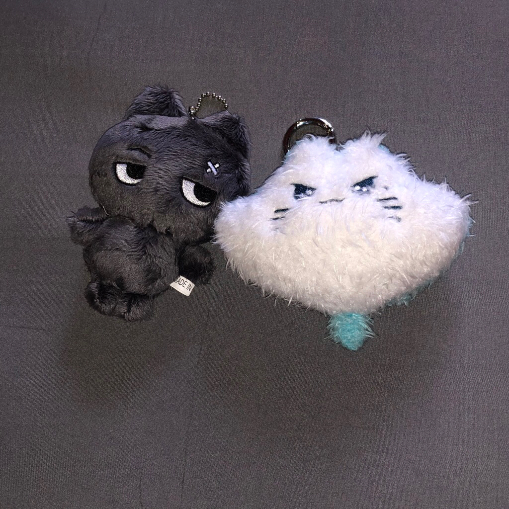 พร้อมตุ๊กตา enhypen jay 10 ซม. manta ray myomyojong