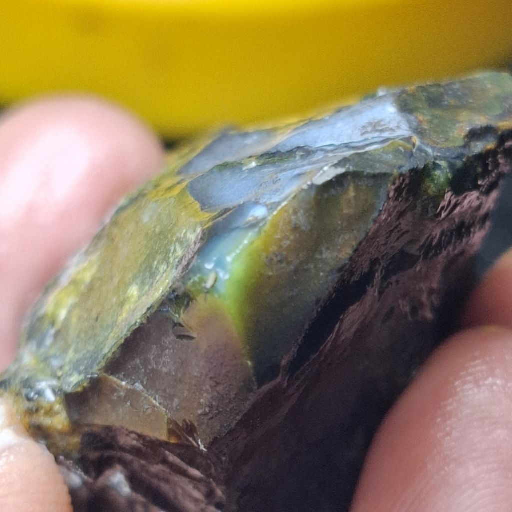 BACAN DOKO ติ่มซําธรรมชาติ 45x32x21