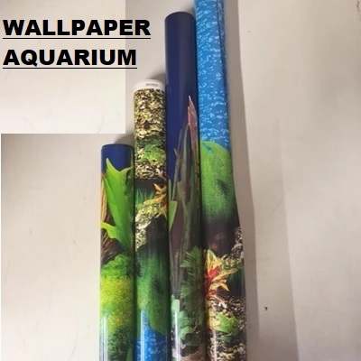 AQUARIUM WALLPAPER / AQUARIUM BACKGROUND MOTIF