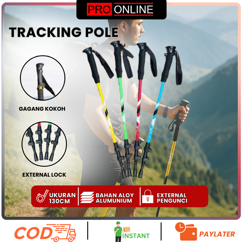 Trekking Pole ล็อคภายนอก Raiko Mountain-Mountain Stick-Tracking Pole-Halking Stick