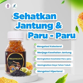 Trigona Gold - Habbatussauda Oil Extra Propolis isi 100 dan 200 Kapsul