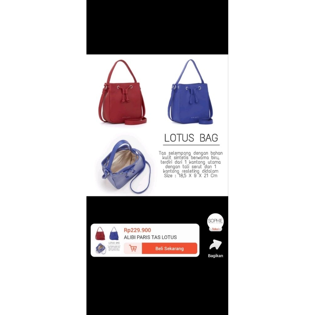 Alibi Paris Lotus Bag อ่านคําอธิบาย