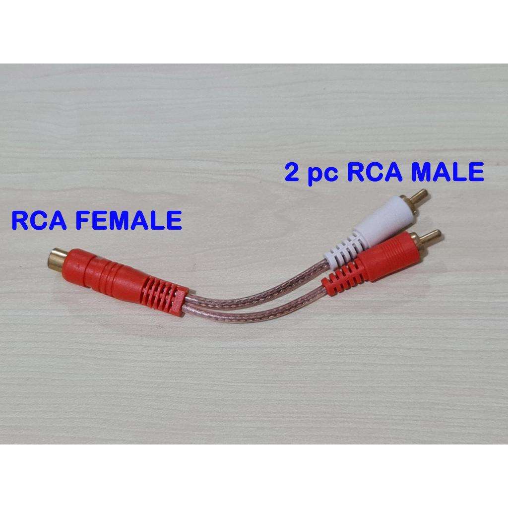 Y RCA (1 rca ตัวเมียเป็นตัวผู้ 2 rca)