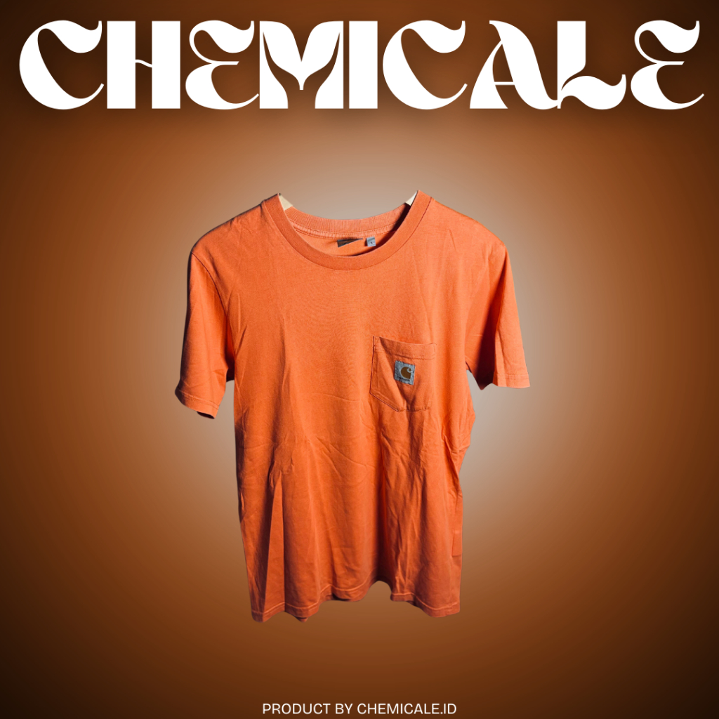 CARHARTT CHEMICALE-TSHIRT-CARHART WIP POCKET