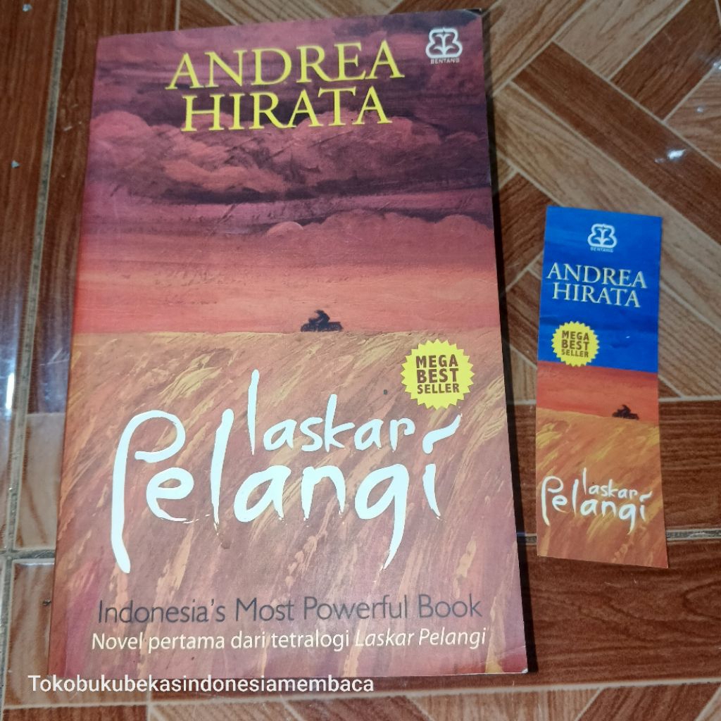 หนังสือ ANDREA HINATA