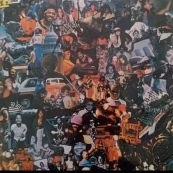 Vinly 12 Female Black Disc - Donna Fargo