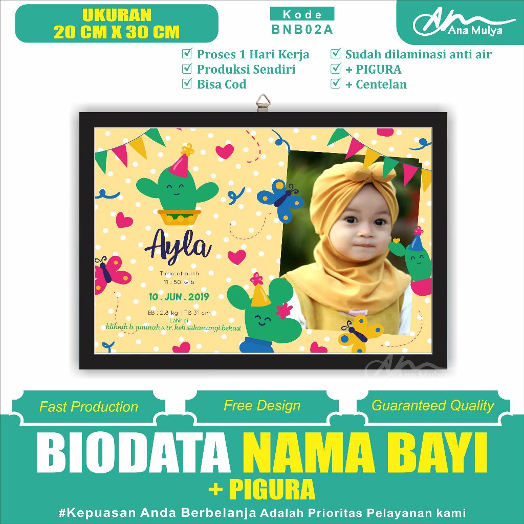 BABY BIRTH BIODATA + PICTURE SIZE 10RS 20 CM X 30 CM ANA MULYA BNB02