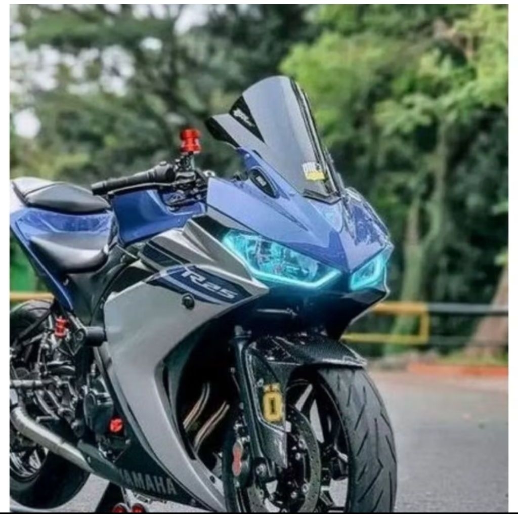 WINDSHIELD VISOR R25 OLD MODEL ZERO GRAVITY 3MM THICKNESS FREE RUBBER LIST